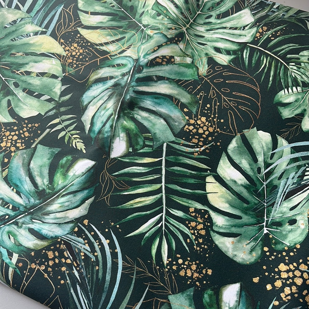 Grüner Monstera Vorbestellung